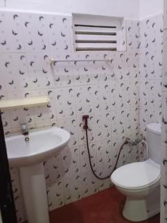 Green garden villa - 1