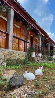 Dương Gia Đạt Homestay - 7