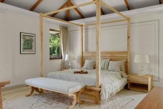 Villa Frangipani by tisyastays near Anjuna beach - 9