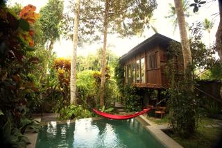 TREEHOUSE with private pool near YOGABARN - in Ubud center - ADULT ONLY - 0