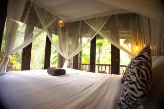 TREEHOUSE with private pool near YOGABARN - in Ubud center - ADULT ONLY - 4