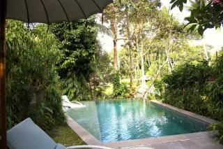 TREEHOUSE with private pool near YOGABARN - in Ubud center - ADULT ONLY - 2