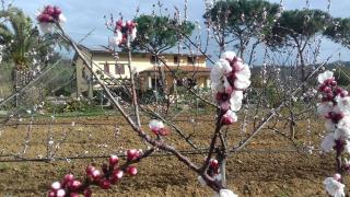 Agriturismo Val di Nappo - 1