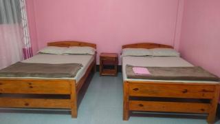 The Grassland Homestay - 0