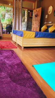 Skytouch Riverside Forest Manali - 2