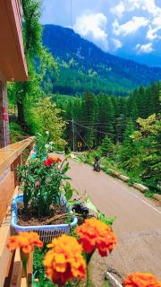 Skytouch Riverside Forest Manali - 1