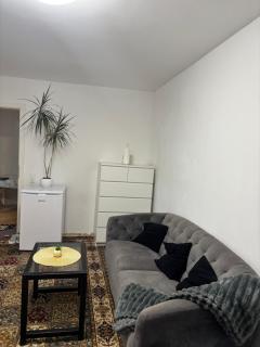 Beautiful 1-bedroom apartment - 9