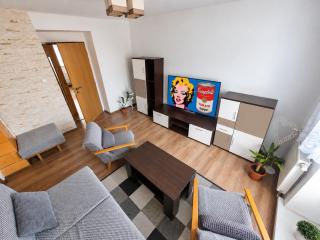 Vaclavskeho Apartment Medzilaborce - 0