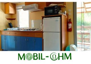 Mobil OHM - 1