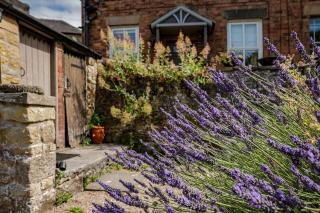Hillside Cottage - 9