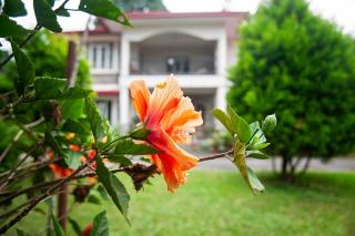 Suktara Bed & Breakfast - 1