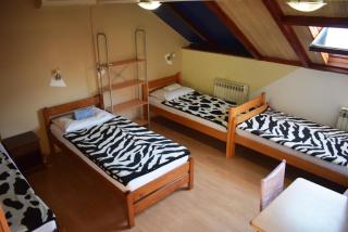 Nest Hostel - 7