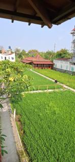 Alamanda Villas, Family Villas, Pool & Local Tours - 7