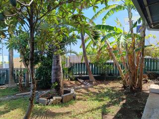 Saint-Leu, 2 ch climatisées, terrasse et jardin - 1