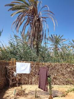 Tianya Hostel Siwa 锡瓦天涯青年旅舍 - 5