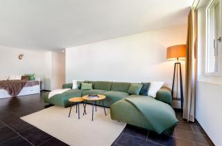 White Apartment - Andermatt - 9