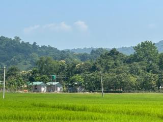 Sunbird Cottages Kaziranga - 9