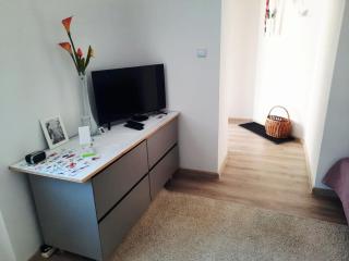 Apartmán Hradišťská - 3