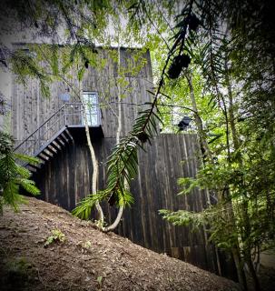 Tree house Predeal THE STARS CABIN 2 Ciubar - 8