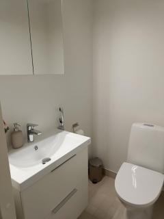 New 13th Floor 2BR Apt with Lake Views - 3