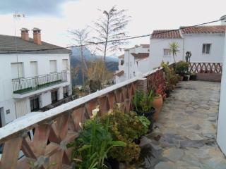 Apartamentos Rurales Jardines del Visir - 1