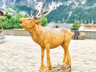 Nika Apartment - Aare Jungfrau AG - 2