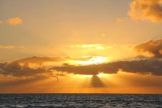 Family-Friendly Escape 5 Mins to Scarborough Beach - 3