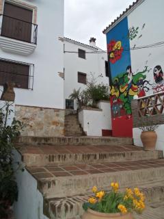 Apartamentos Rurales Jardines del Visir - 4