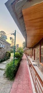 Dhela the Jungle Resort - 5
