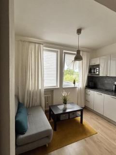 Cozy apartment in VBloku with parking - 3