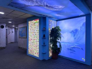 Dolphin Hotel & Hostel Sulaymaniyah - 8