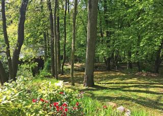 Hideaway Lodges - 8