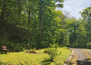 Hideaway Lodges - 5
