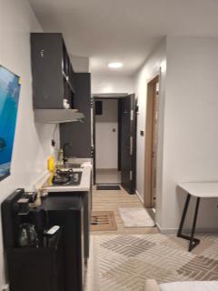 Modern Furnished Studio Near JKIA SGR Signature Mall, Sabaki - 6