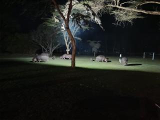 Muthu Lake Naivasha Country Club, Naivasha - 4