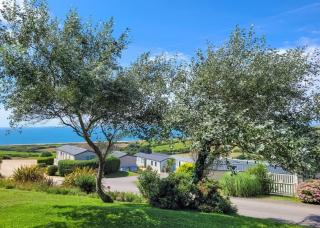 Gorselands Caravan Park - 1