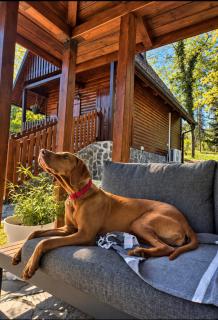 Cozy Wooden Cabin for Two near Kupa River by Destination GREEN Croatia - 8