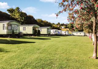 Lime Tree Park - 4