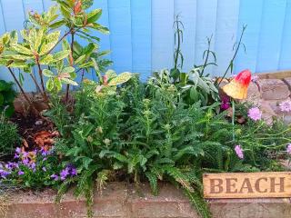 Cottage Bourdon - 3