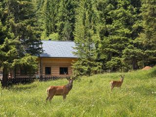 Chalet Waldblick by Globalimmoservice - 1