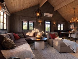 Large family - friendly ski-in-ski- out cabin in Geilo - 1