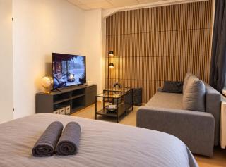 Elegant · 3BR flat for 8, near U1 Vorgartenstraẞe - Wien - 0