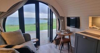 Ocean Spray Pods - 3