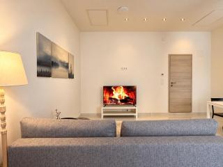 Brand New 2-Room Apartment near Jägerstraße Metro - 5