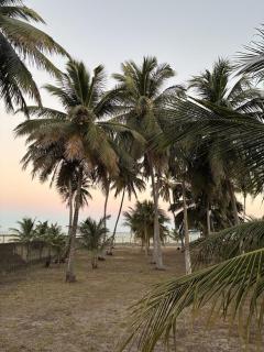 Peroba Beachfront House - 2