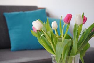 Ferienwohnung An der Gramme - 4