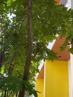 Cocohamlet Villa - 5