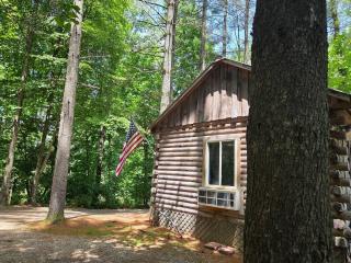 Eagles Nest at Avenwood Cabins - 8