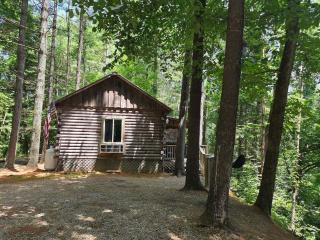 Eagles Nest at Avenwood Cabins - 9