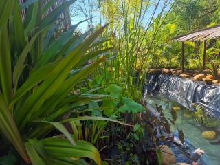 bamboo beach house - 7